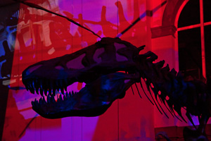 T-Rex in Rot