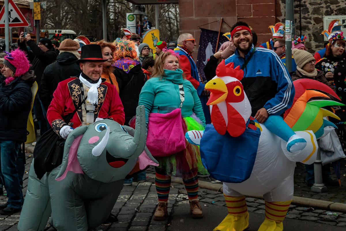 Faschingsumzug HU 2026 - TGH - Die wilden Tiere