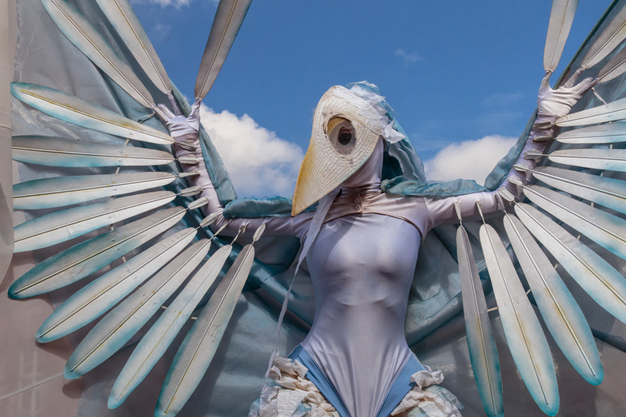Lamboyfest 2019 Gauklerfest - Weißer Vogel von Enaya Dayeh