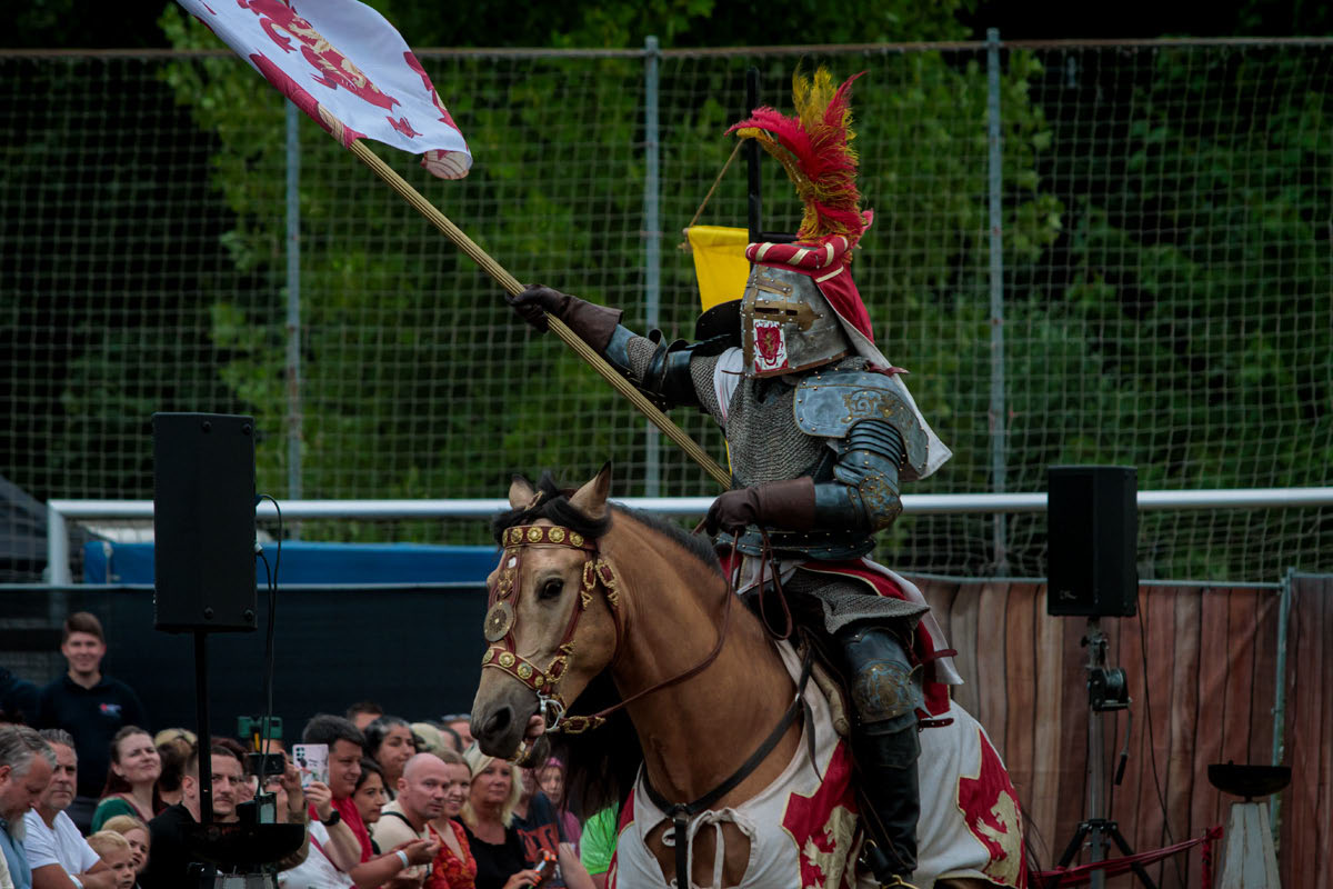Buedingen MAFest 2025 - Turnier der Tapferen - EHS-Team